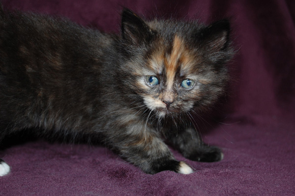 Tiffany-5 Wochen.jpg